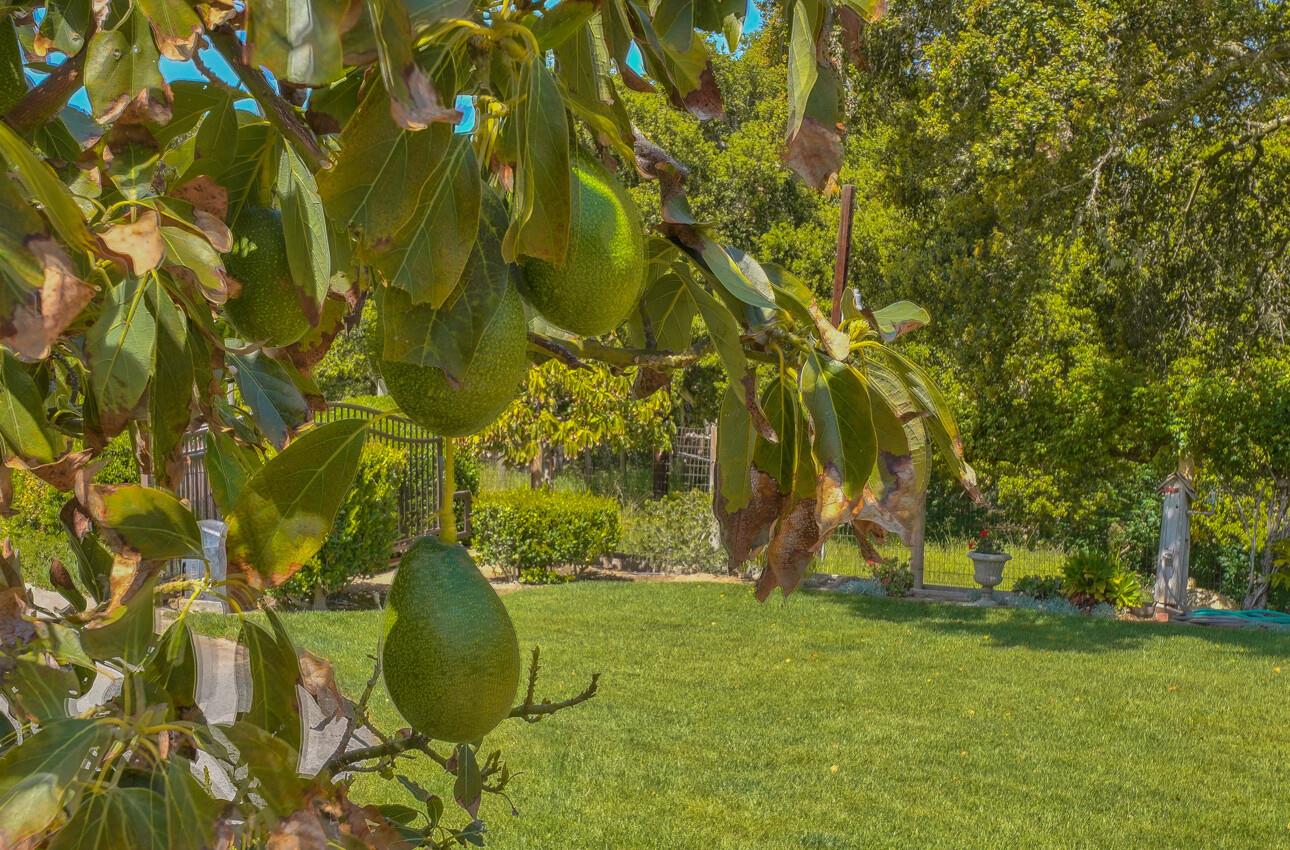 190 San Benancio Road Salinas, CA 93908 - Photo 58 of 61