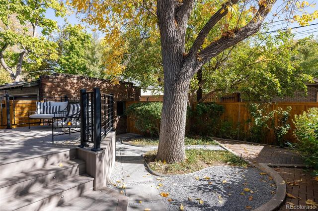 a view of a tree in the backyard of a house