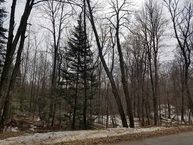 21-acres East Silver Lake Road Laona, WI 54541 - Photo 7 of 10 Gallery Image 7