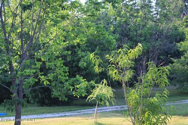 7635 Bagdad Road Bagdad, KY 40003 - Photo 3 of 5 unnamed (3)