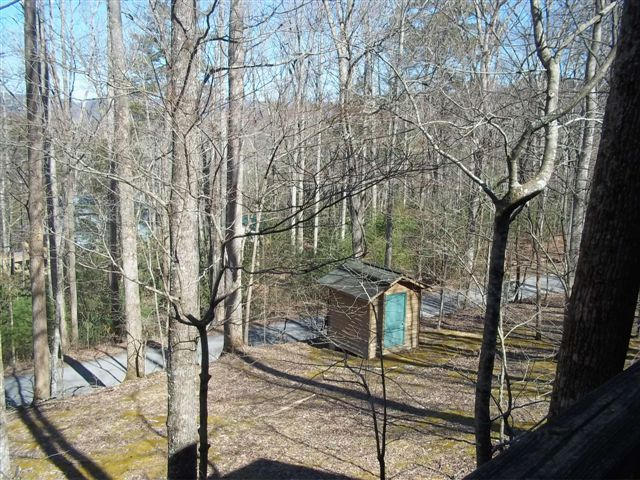 978 Old Cades Cove Road Townsend, TN 37882 - Photo 18 of 37 100_6014