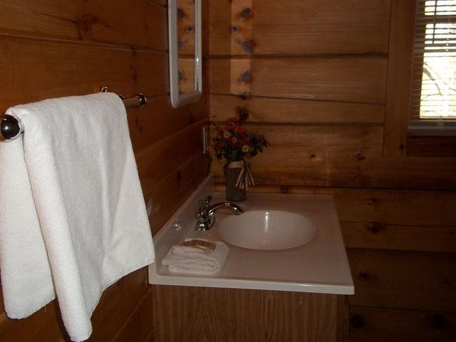 978 Old Cades Cove Road Townsend, TN 37882 - Photo 29 of 37 100_5977