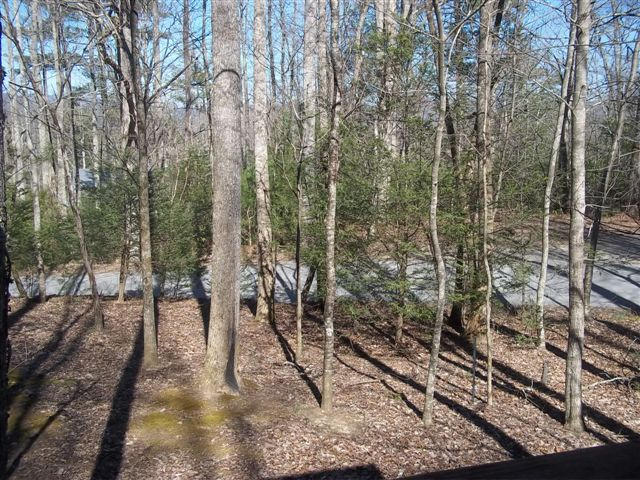 978 Old Cades Cove Road Townsend, TN 37882 - Photo 34 of 37 100_5982