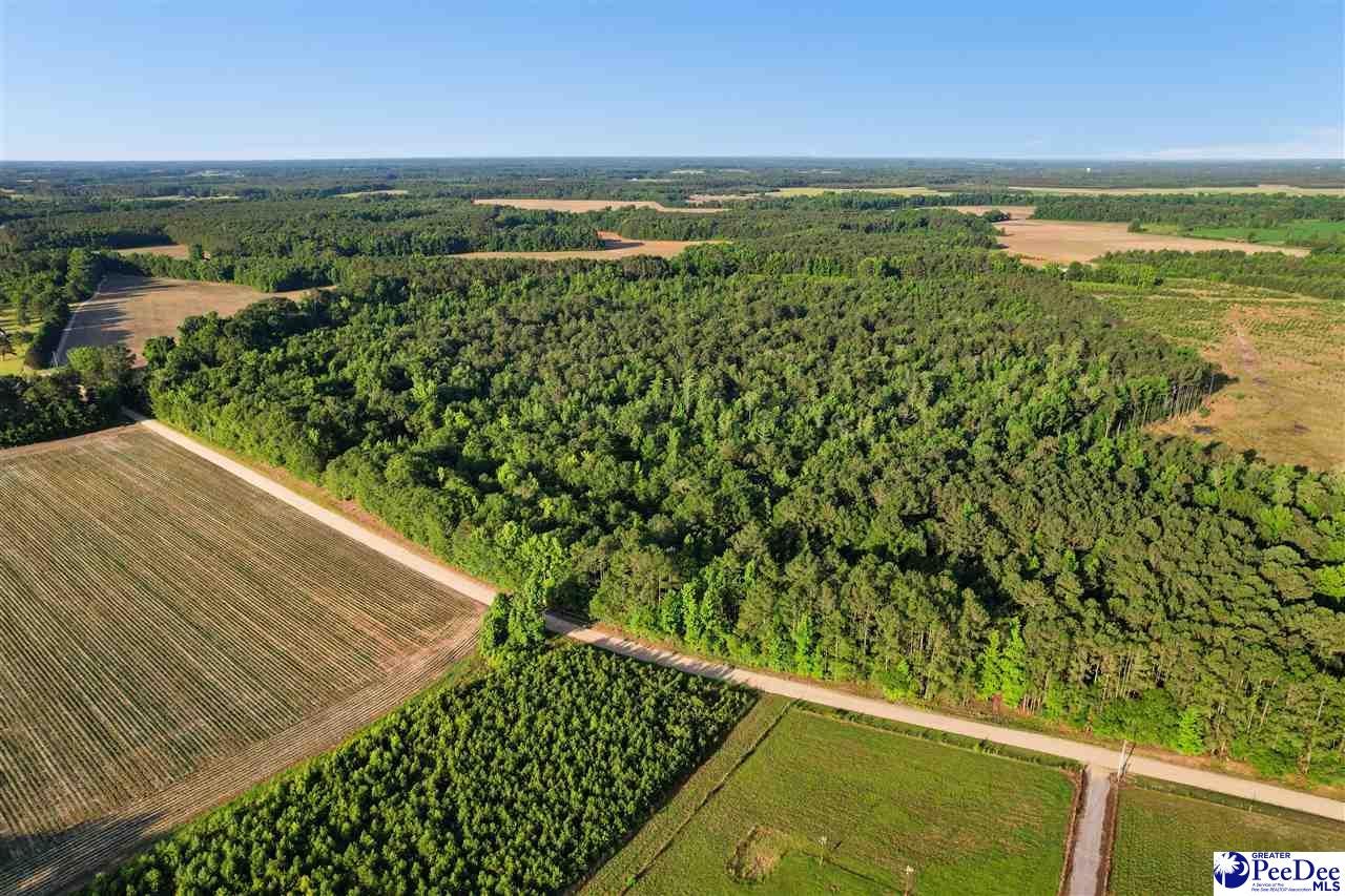Lot 3-tbd Windham Town Road Lamar, SC 29069 - Photo 8 of 12 Gallery Image 8