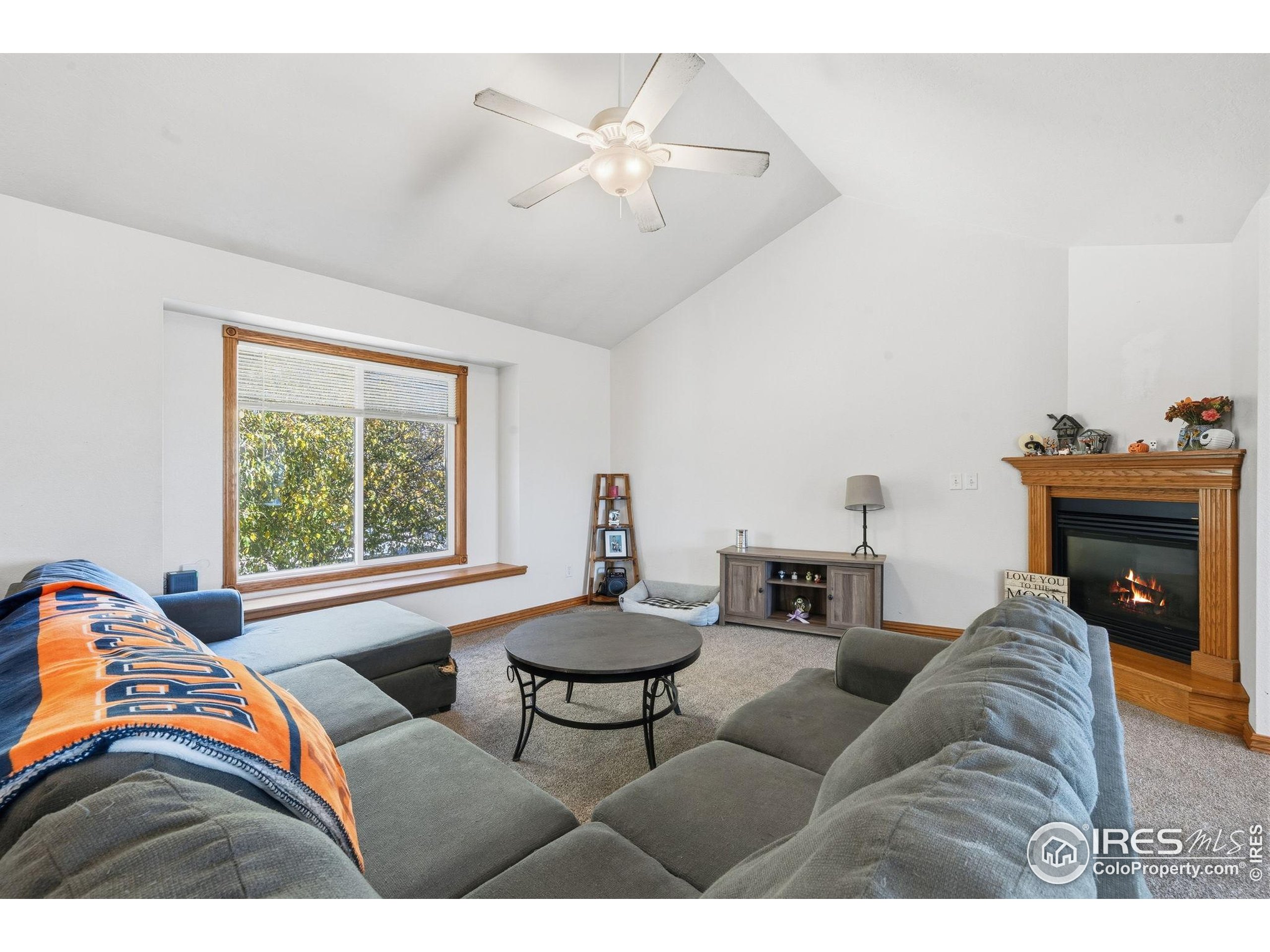 3340 35th Street Greeley, CO 80634 - Photo 3 of 10 a living room with furniture and a fireplace