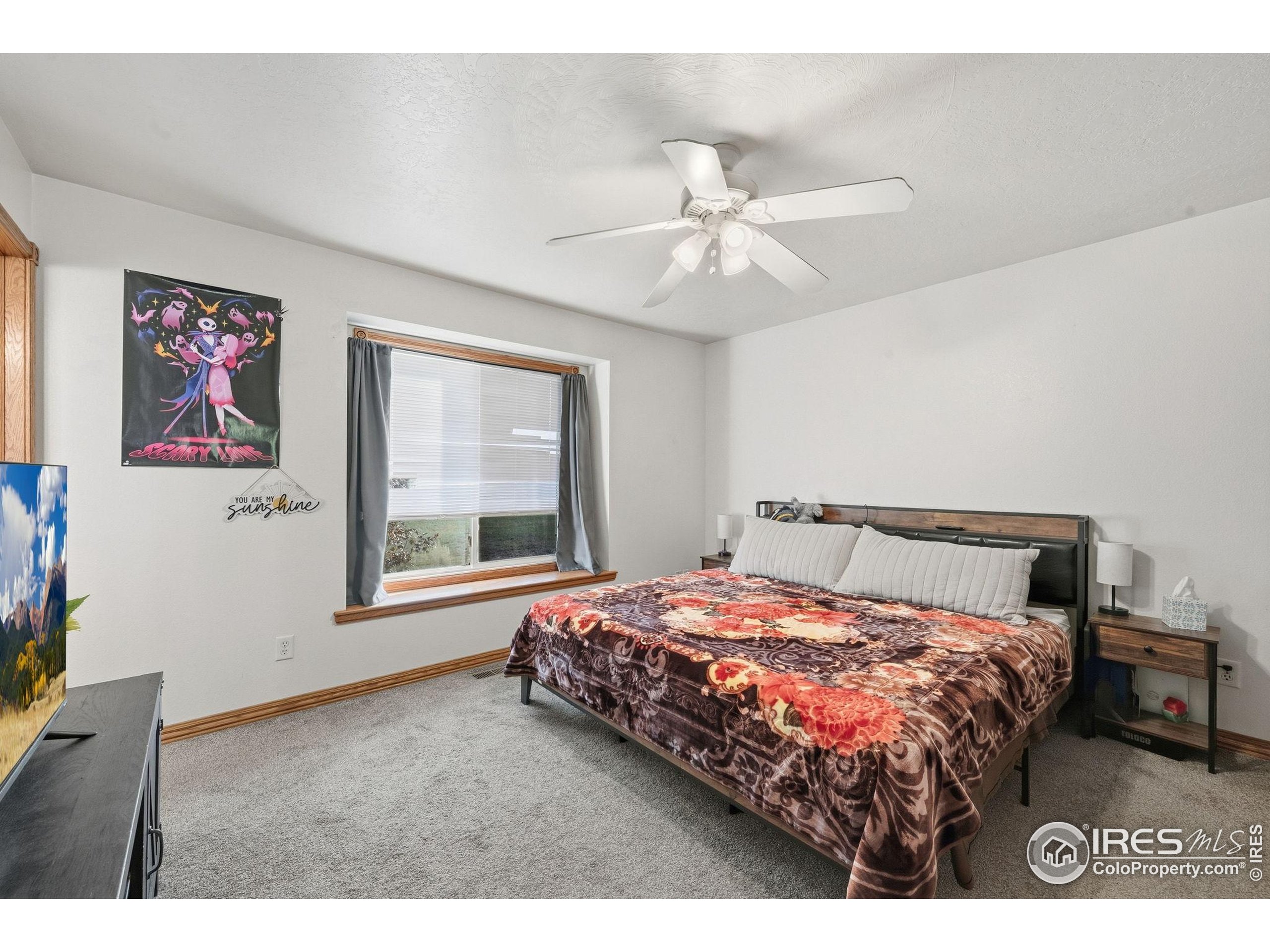 3340 35th Street Greeley, CO 80634 - Photo 6 of 10 a bedroom with a bed and a window