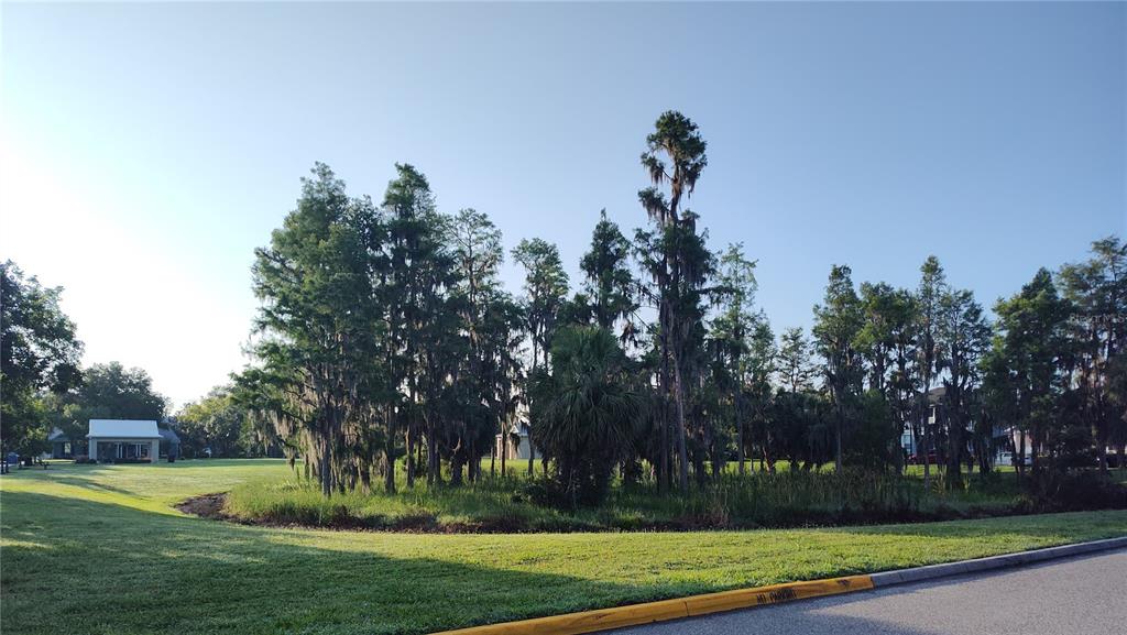 3618 Buffett Street New Port Richey, FL 34655 - Photo 59 of 62 Gallery Image 59