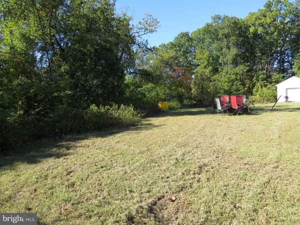 a view of empty space and trees