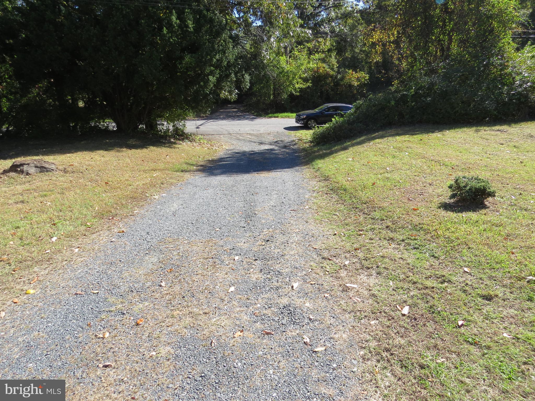 438 Burns Crossing Road Gambrills, MD 21054 - Photo 16 of 31 a view of yard with trees