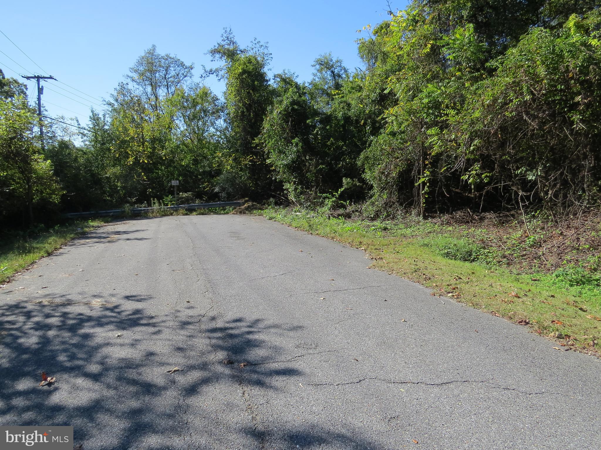 438 Burns Crossing Road Gambrills, MD 21054 - Photo 19 of 31 a view of a dirt road with trees in the background