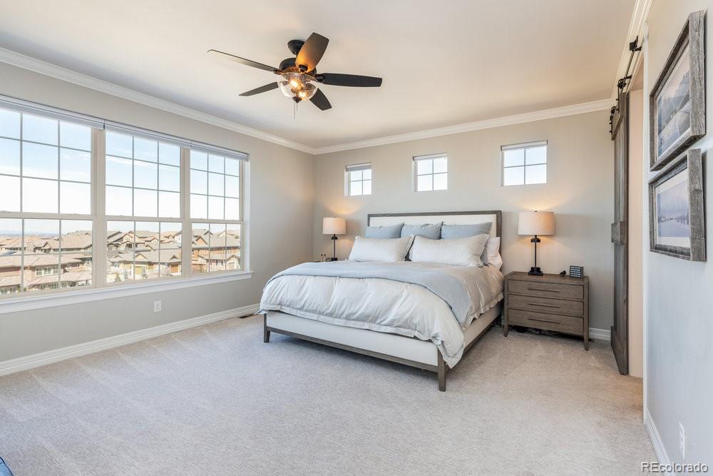 10769 Sundial Rim Road Highlands Ranch, CO 80126 - Photo 14 of 40