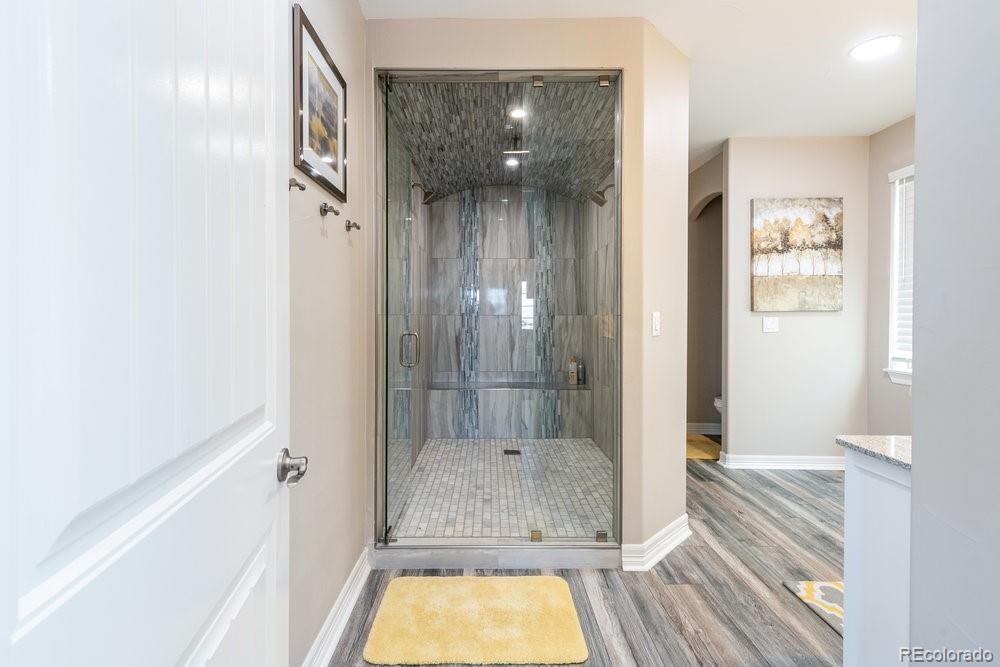 10769 Sundial Rim Road Highlands Ranch, CO 80126 - Photo 29 of 40