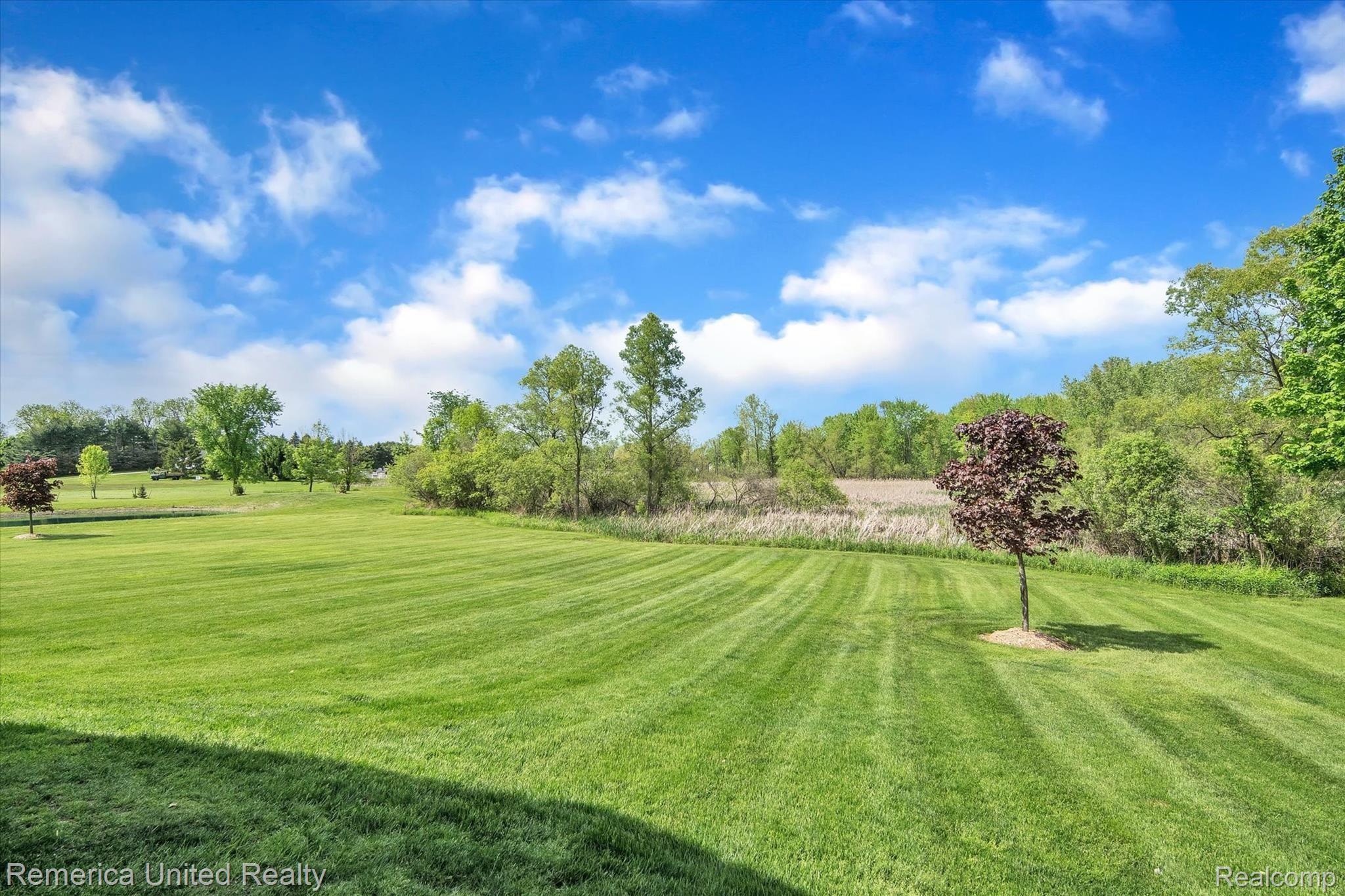 3158 West Marr Road Howell, MI 48855 - Photo 59 of 74 67-3158-W-Marr-Rd-WindowStill-Real-Estate-Photography-67.jpg