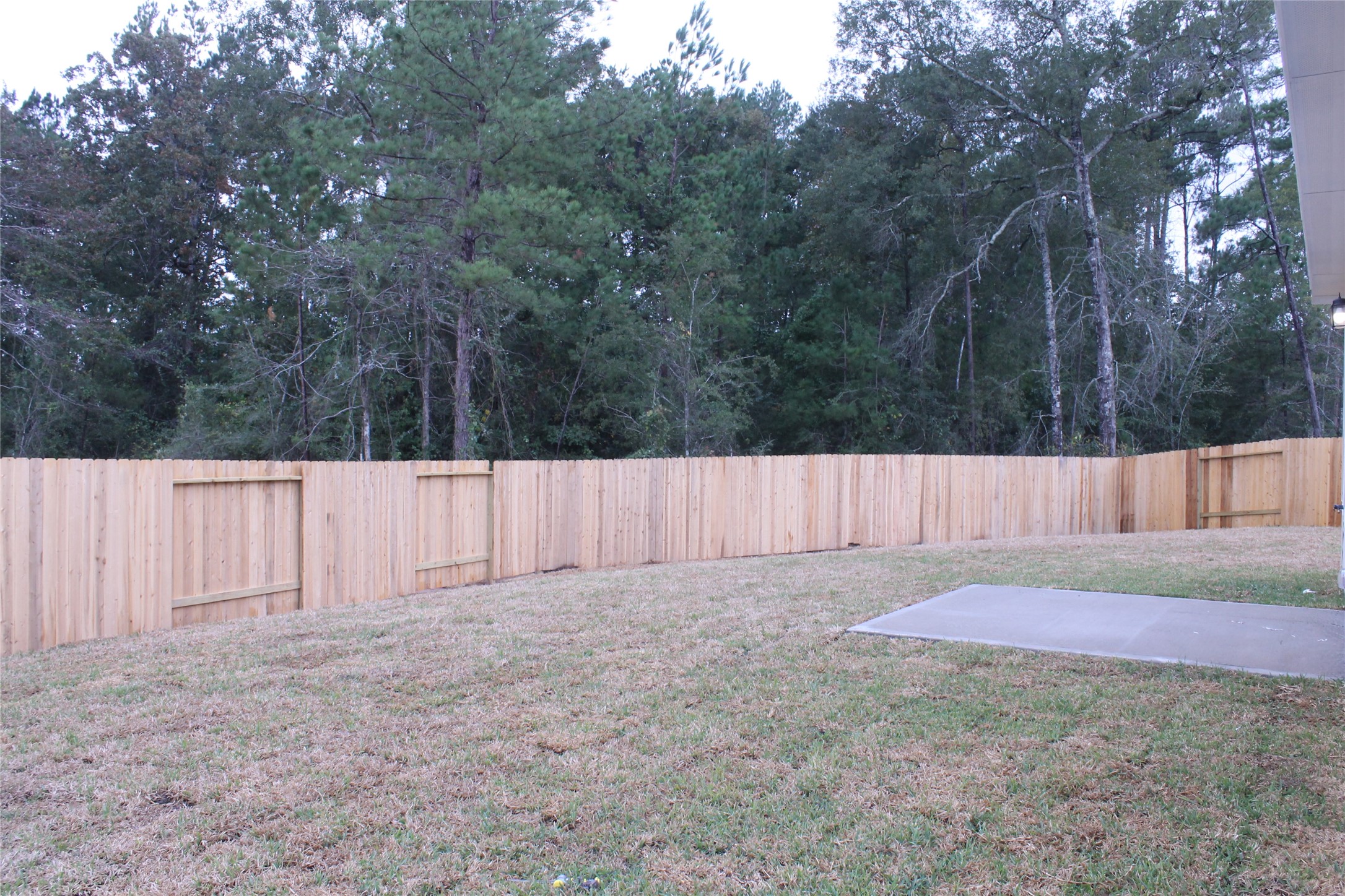 9699 Caney Trails Road Conroe, TX 77303 - Photo 16 of 16