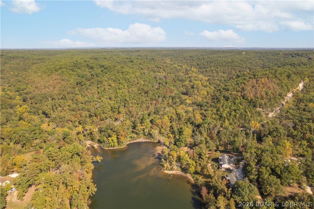 5-acres Pirates Pirates Cove Road Camdenton, MO 65020 - Photo 5 of 30