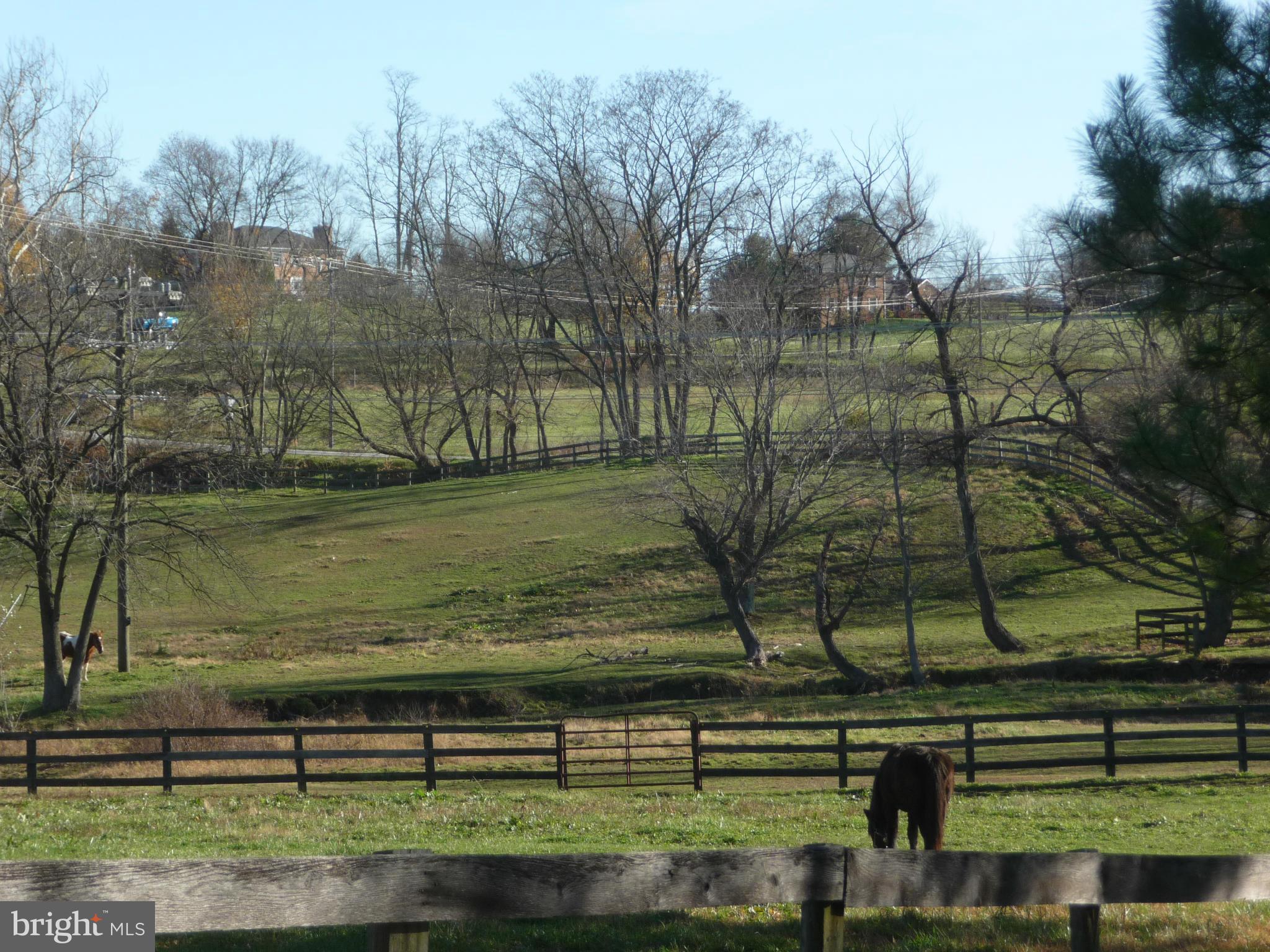 38472 Nixon Road Purcellville, VA 20132 - Photo 5 of 10 Ponies, swans, and a water view! Oh my!