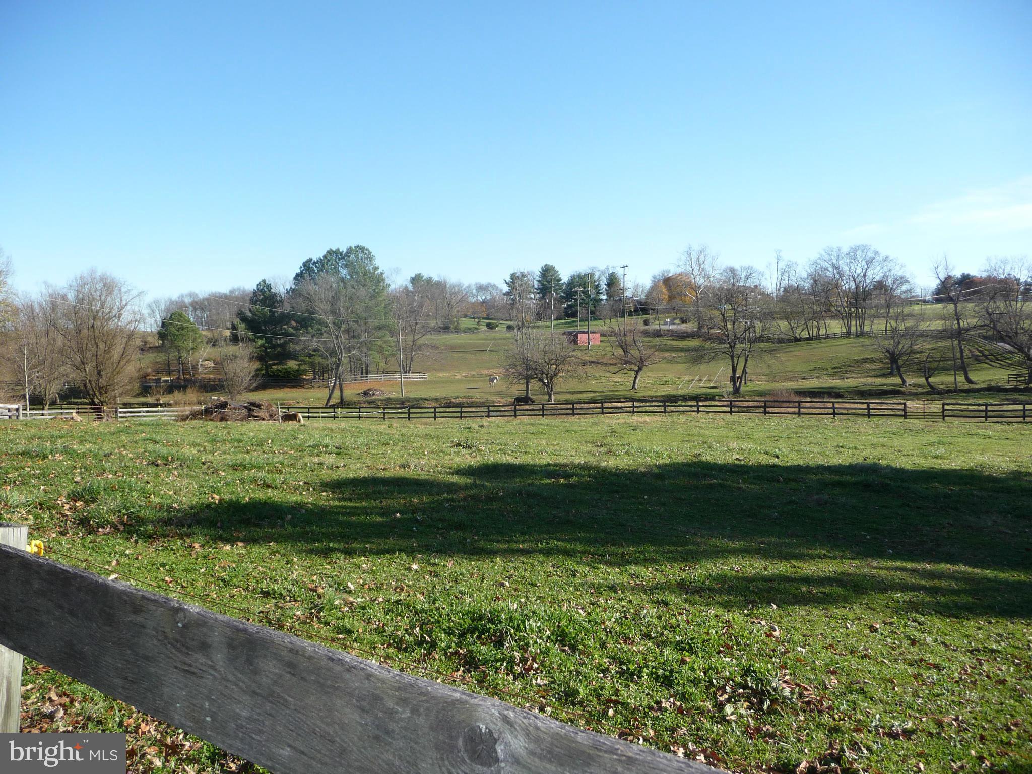 38472 Nixon Road Purcellville, VA 20132 - Photo 6 of 10 Even in November the grass is greener here!