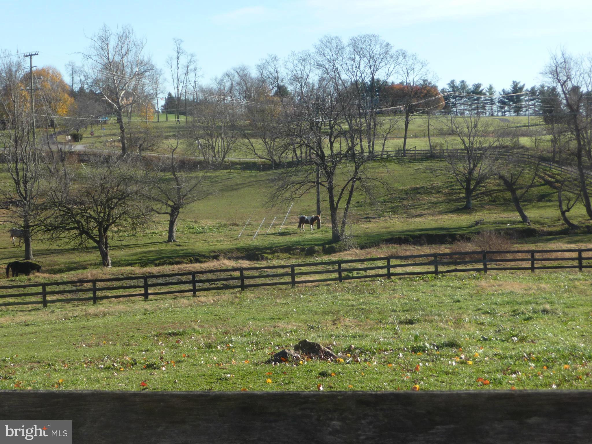 38472 Nixon Road Purcellville, VA 20132 - Photo 9 of 10 What a view!! and so close to town!