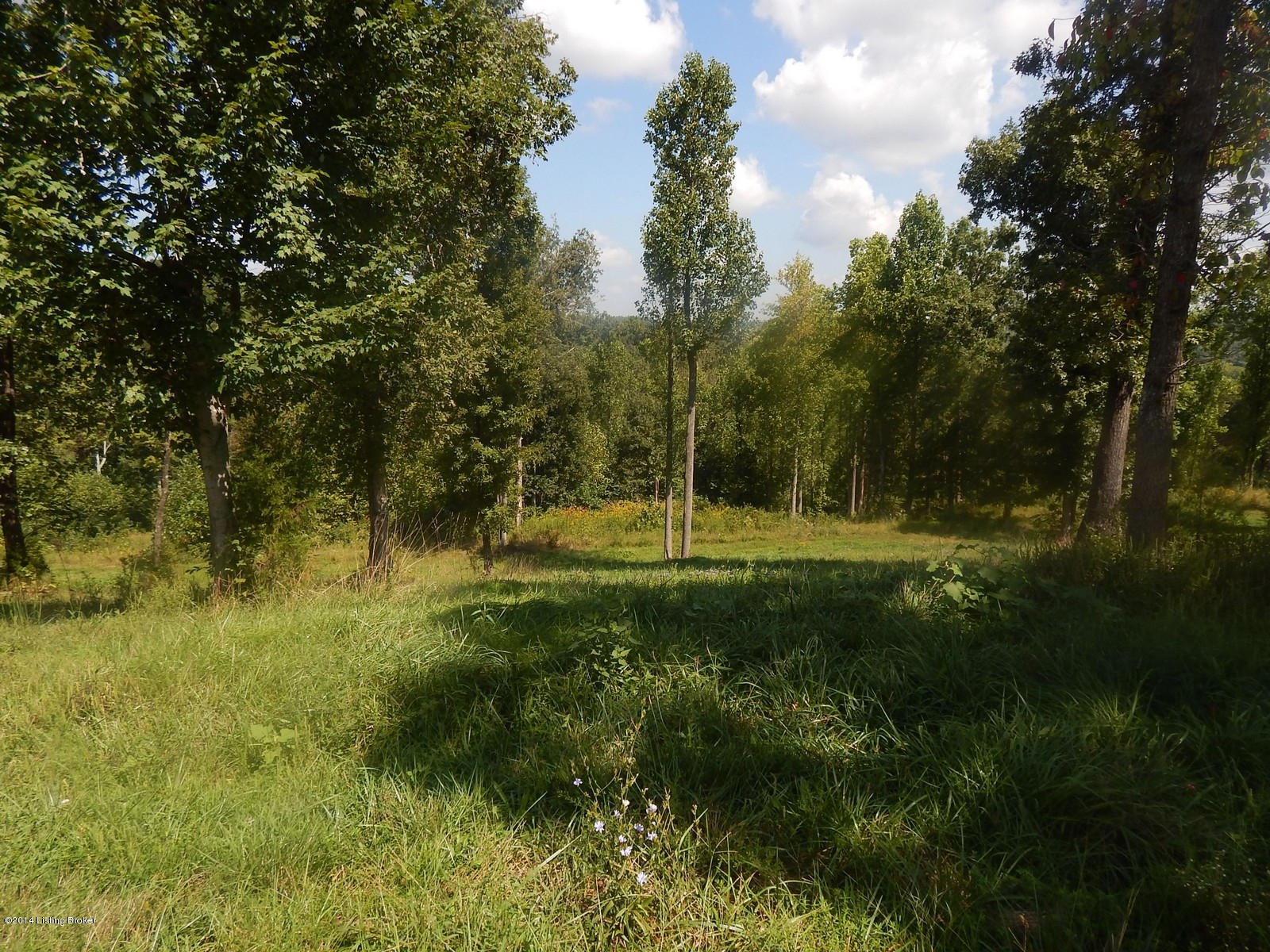 324 B Grant Road Leitchfield, KY 42754 - Photo 21 of 30 324 Grant Rd 50