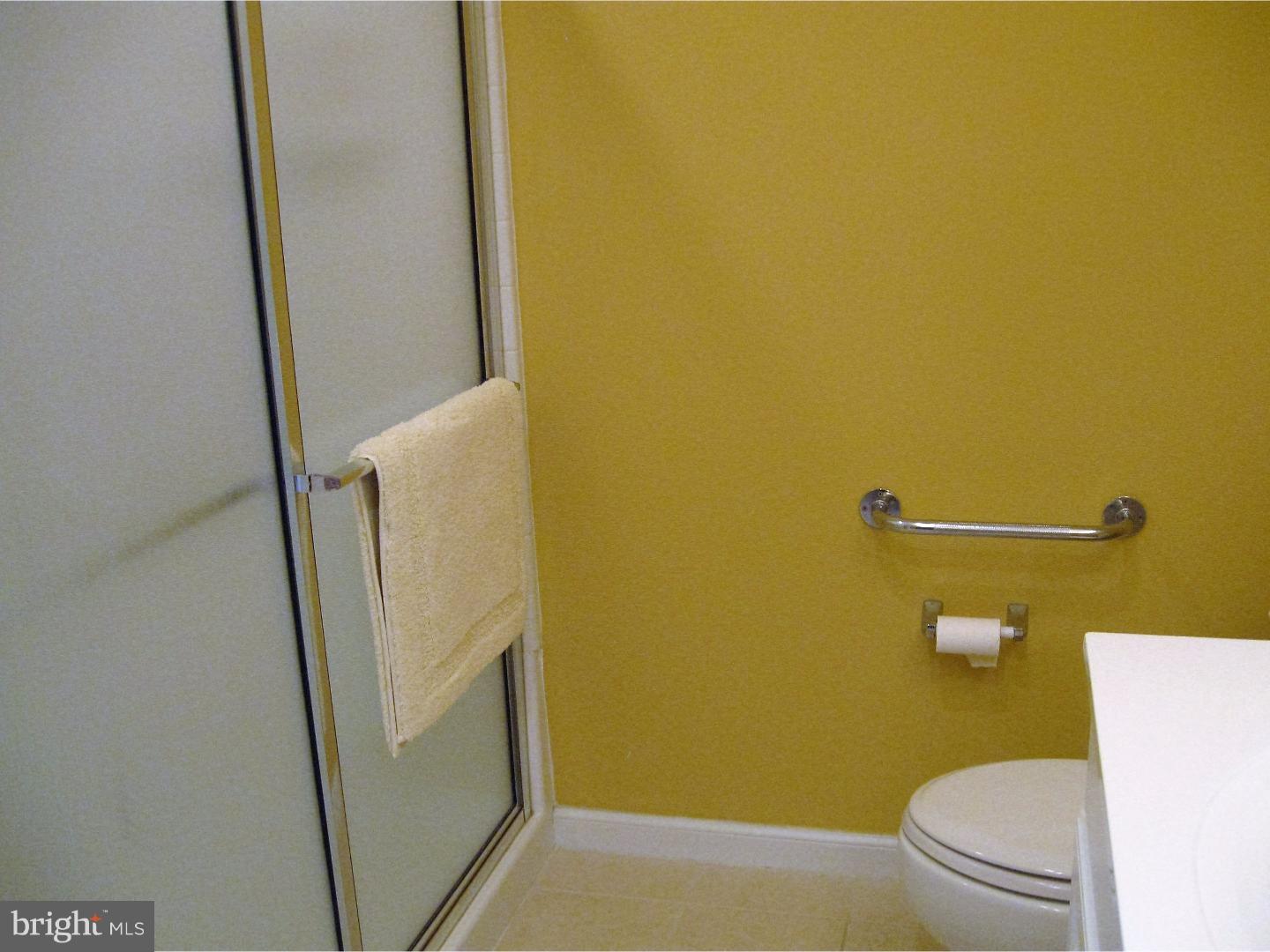 109 Davish Road Coatesville, PA 19320 - Photo 11 of 22 Master Bathroom
