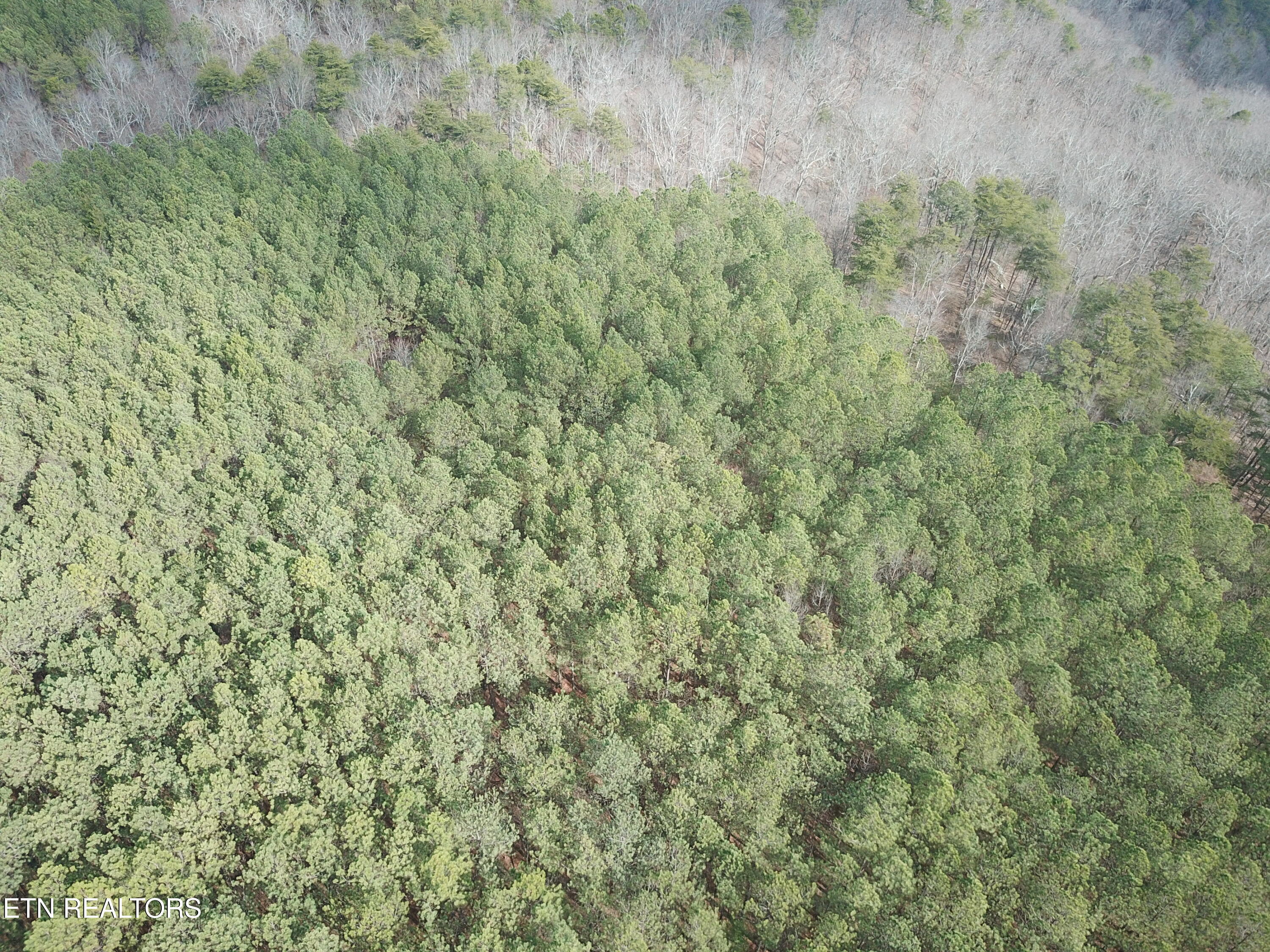 Soddy-daisy Tn 37379 Road Soddy Daisy, TN 37379 - Photo 14 of 17 DJI_0086