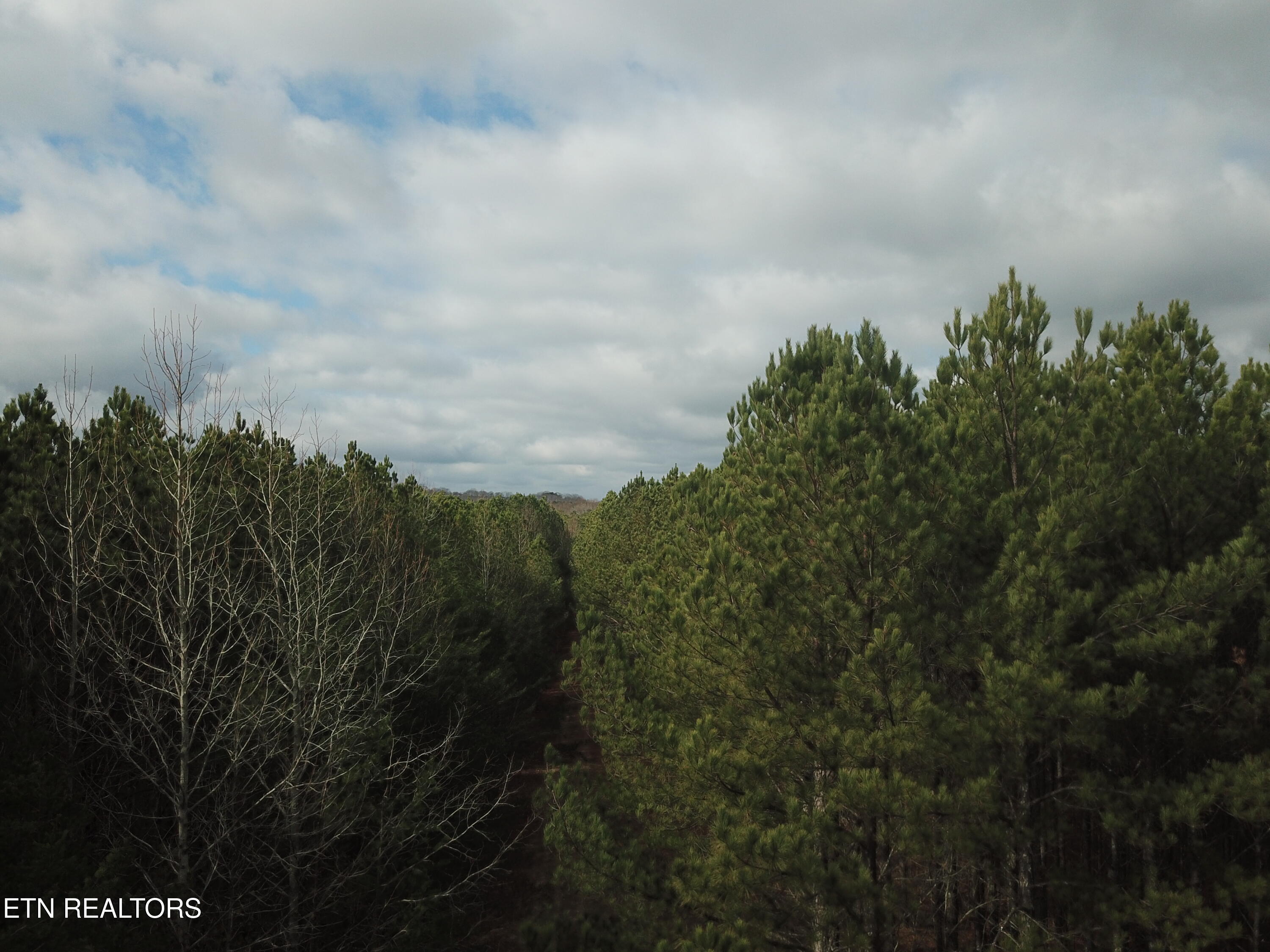 Soddy-daisy Tn 37379 Road Soddy Daisy, TN 37379 - Photo 9 of 17 DJI_0044
