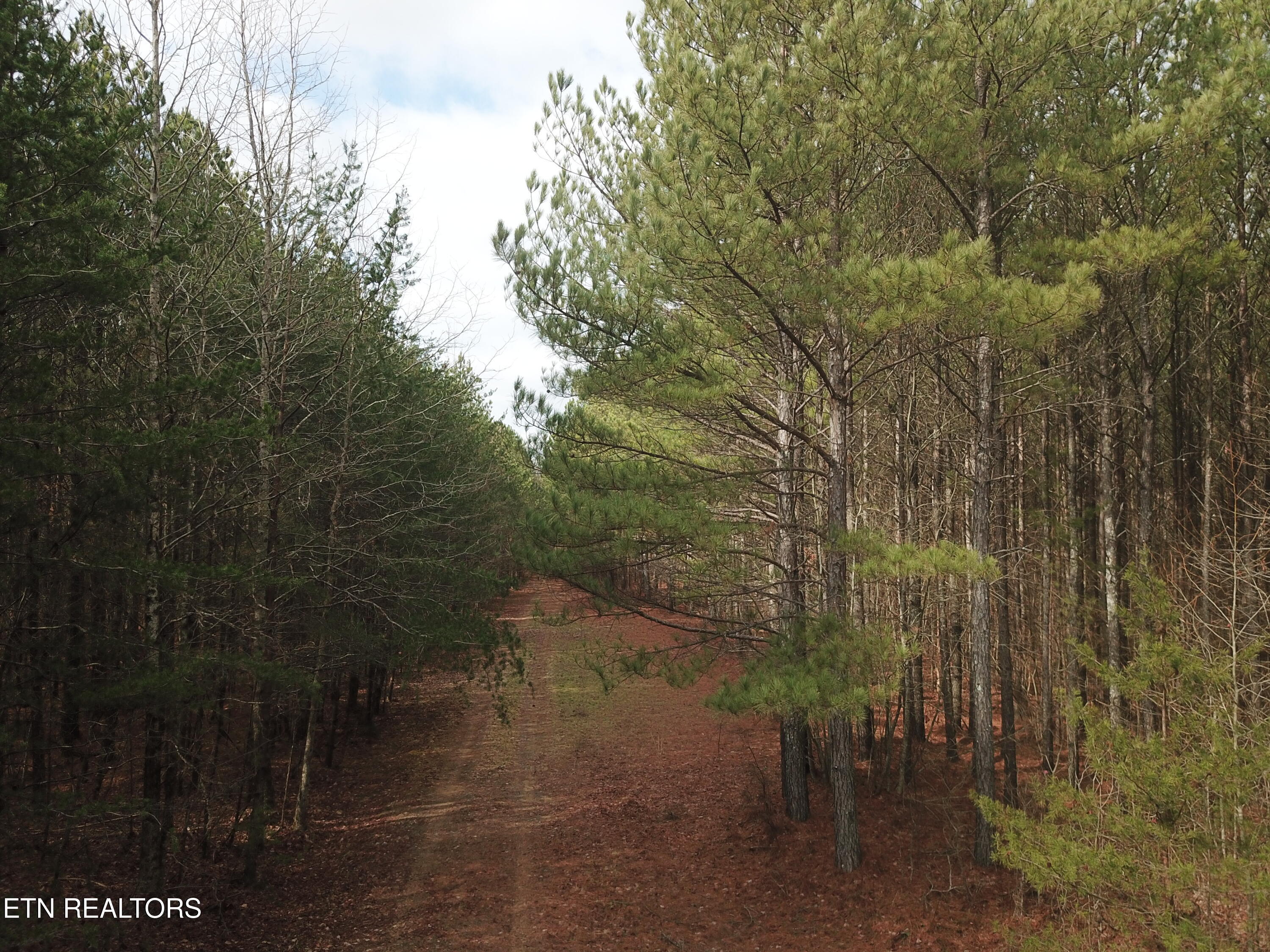 Soddy-daisy Tn 37379 Road Soddy Daisy, TN 37379 - Photo 10 of 17 DJI_0047