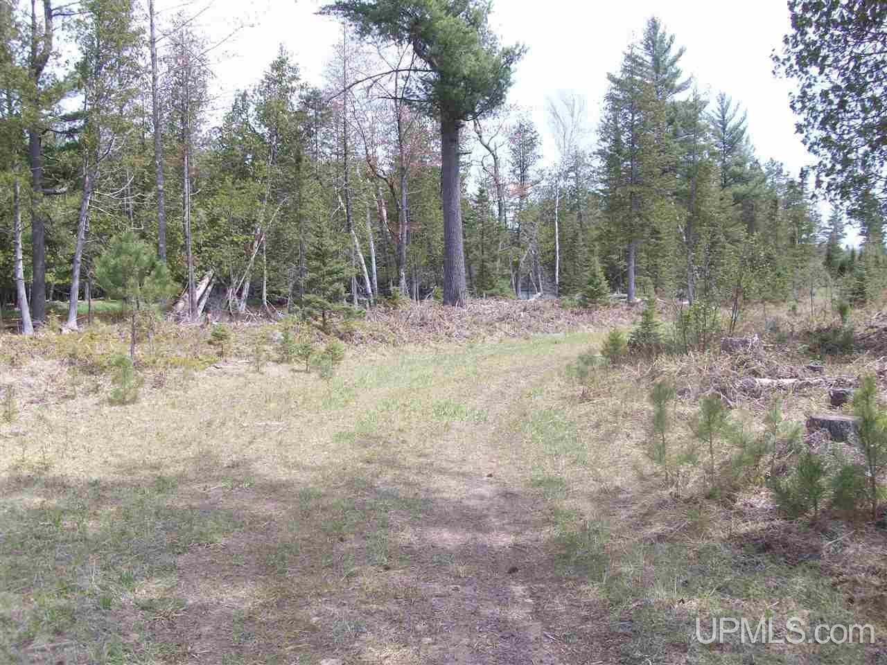 Tbd Tbd Off Sd Road Arnold, MI 49819 - Photo 4 of 6