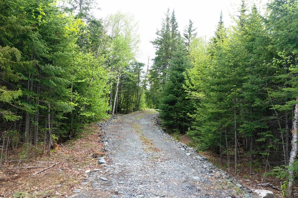 Lot 7 Alpine Ridge Greenville, ME 04441 - Photo 10 of 14 DJI_0364