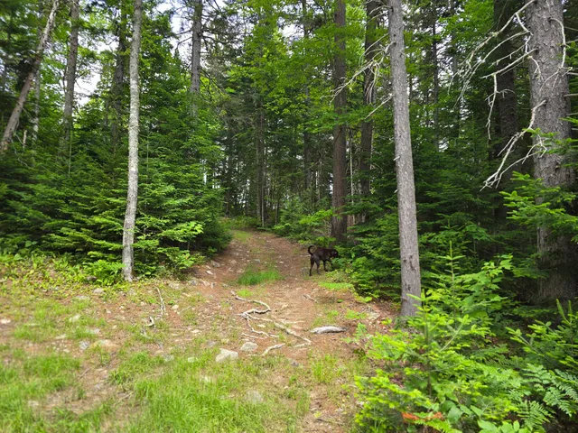 $85,000 | T4 R7 Wels Me 04777 Road, Patten, ME 04765