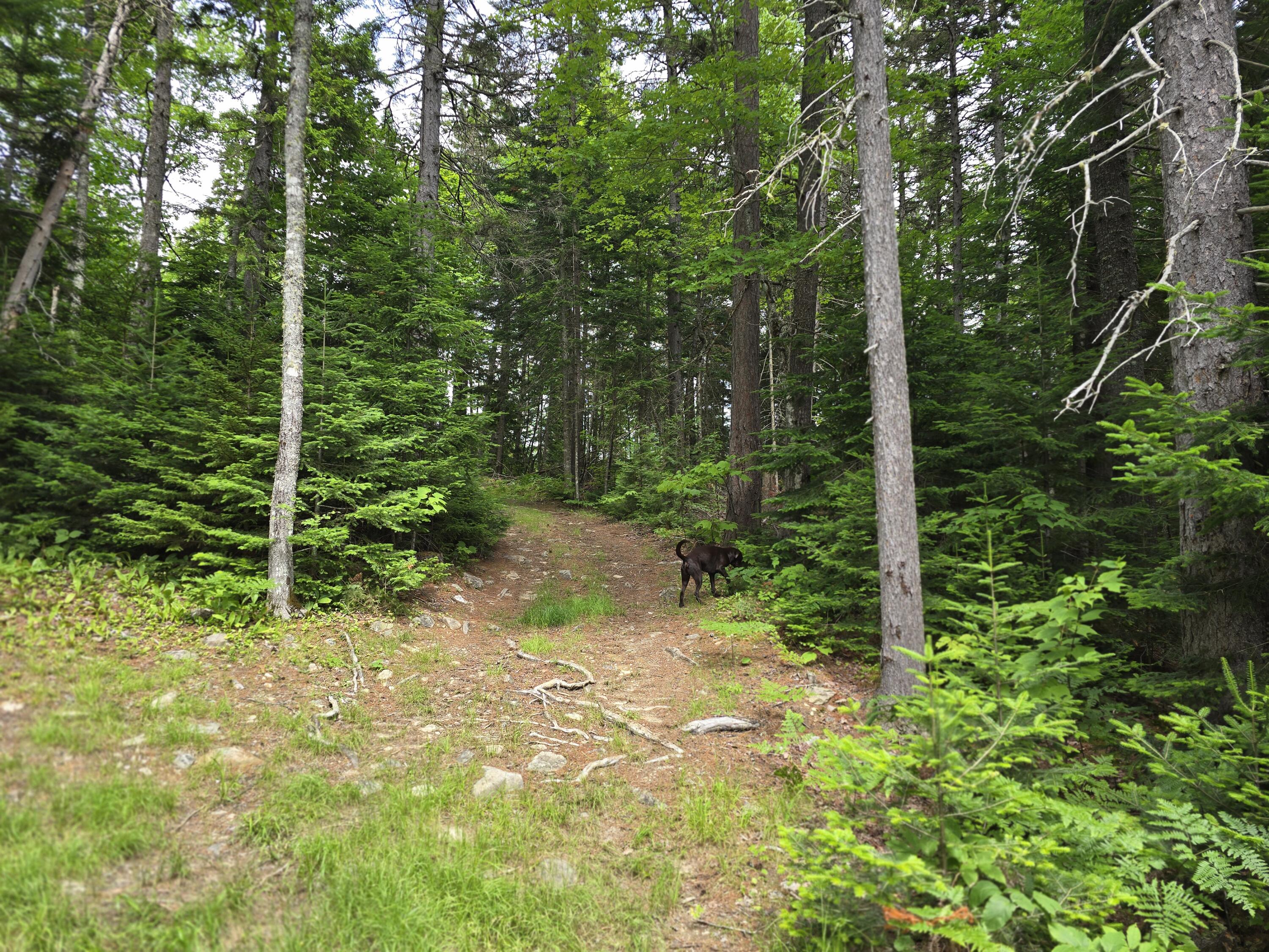 T4 R7 Wels Me 04777 Road Patten, ME 04765 - Photo 7 of 18 20250710_142446