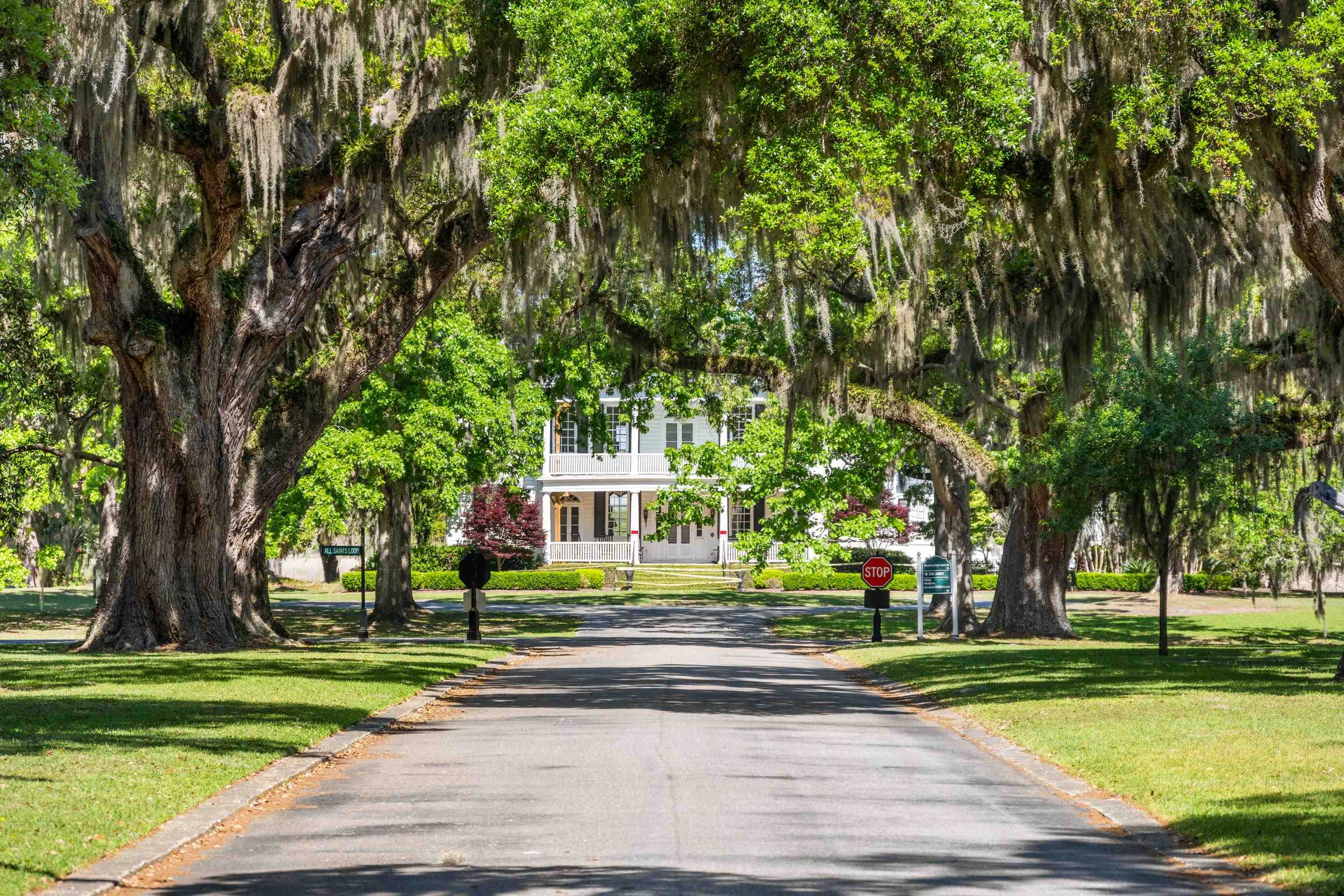 62 Makepeace Road Pawleys Island, SC 29585 - Photo 40 of 48