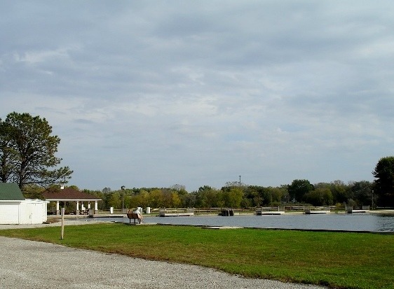 3006 Rolling Oaks Road Spring Grove, IL 60081 - Photo 5 of 9 a view of big yard and houses