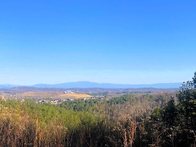 4 Owl Hollow Road McDonald, TN 37353 - Photo 1 of 20