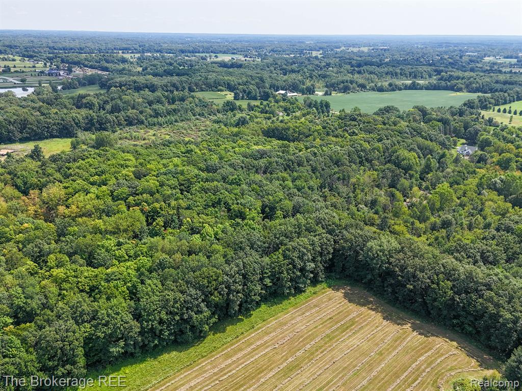 Vl Stump Road Lapeer, MI 48446 - Photo 10 of 12 Gallery Image 10