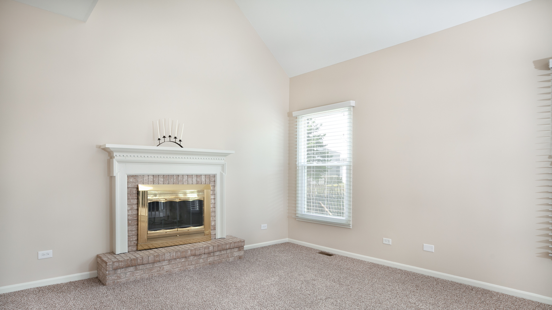 24856 Vermette Road Plainfield, IL 60585 - Photo 5 of 18 an empty room with a fireplace