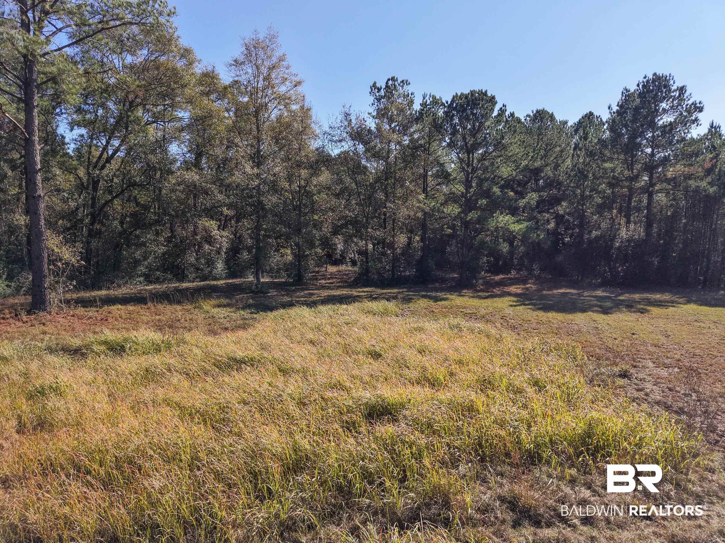 0 Stokley Court Atmore, AL 36502 - Photo 20 of 22 View of yard