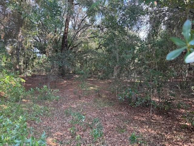 18 Southwest 146 Avenue Ocala, FL 34481 - Photo 2 of 9 a view of a yard with a tree