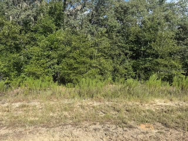 18 Southwest 146 Avenue Ocala, FL 34481 - Photo 7 of 9 a view of a yard