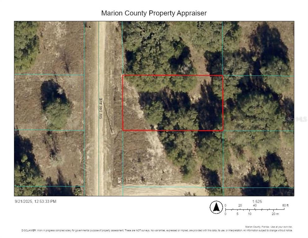 18 Southwest 146 Avenue Ocala, FL 34481 - Photo 9 of 9 a view of a painting of a small yard