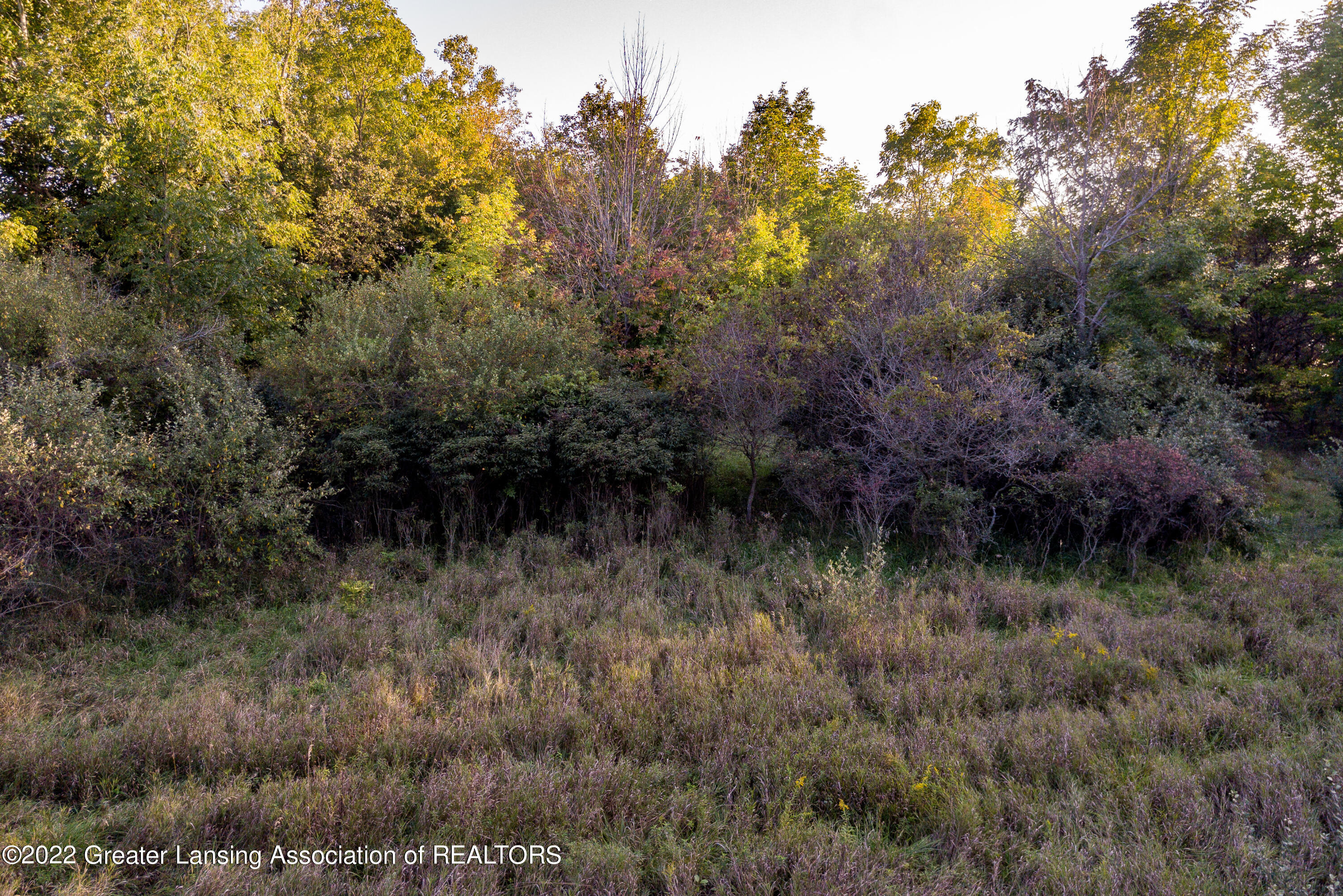 0 South Skyline Perrinton, MI 48871 - Photo 21 of 37 Skyline Dr Lot 003 Perrinton MI -113