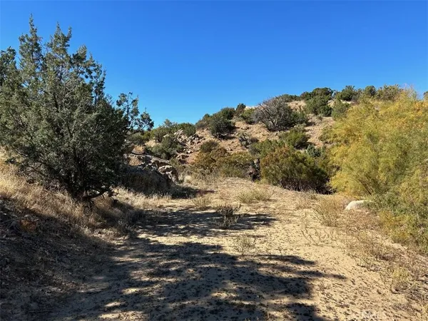 a view of mountain view with lots of trees