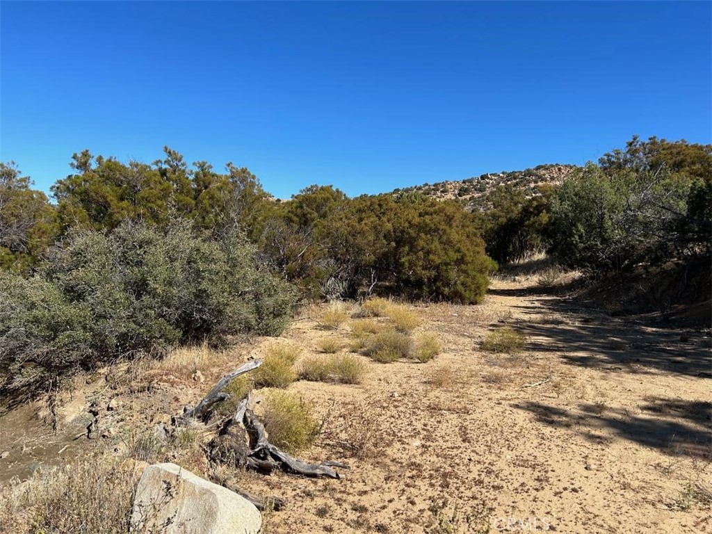 33 Broken Wheel Trail Anza, CA 92539 - Photo 2 of 14 a view of a yard with a tree