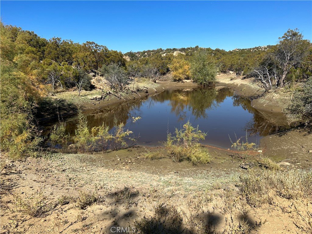 33 Broken Wheel Trail Anza, CA 92539 - Photo 5 of 14 a view of lake