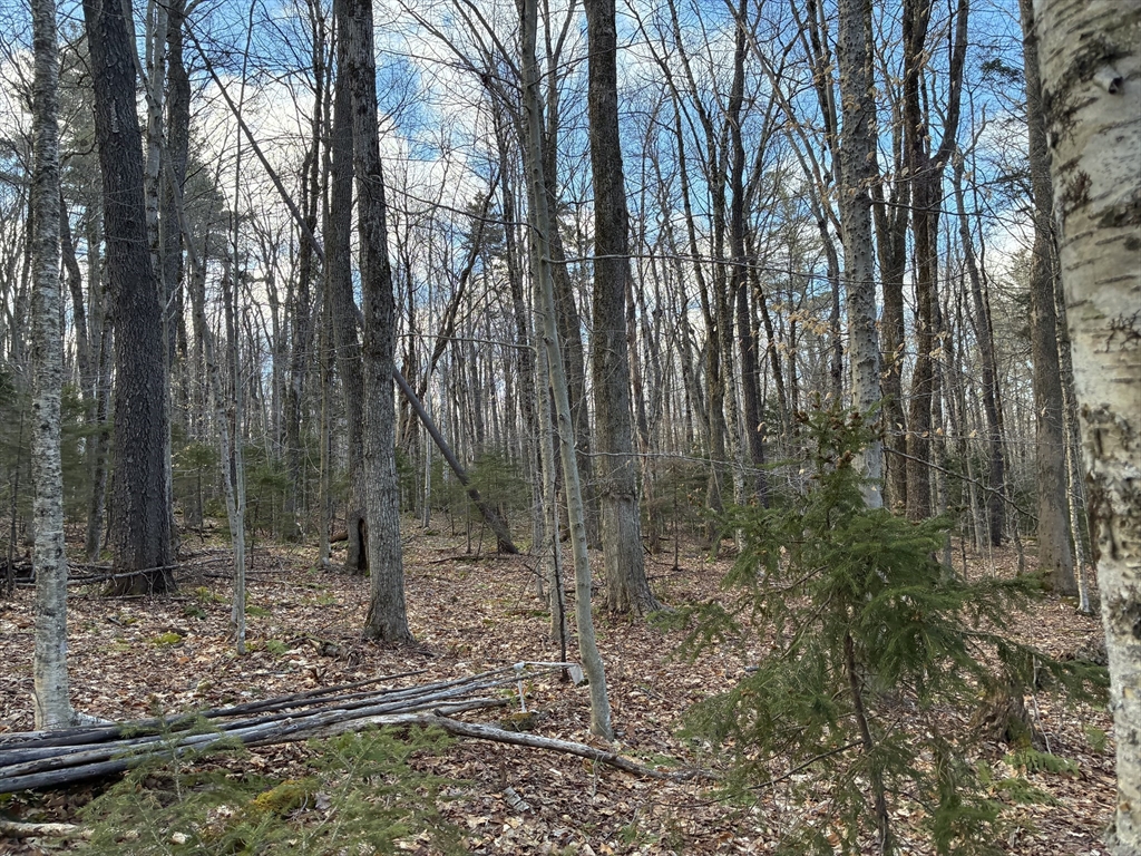5 Leshures Road Rowe, MA 01367 - Photo 10 of 12