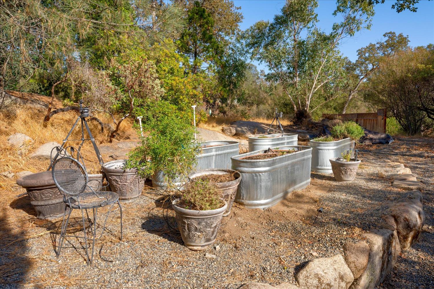 28853 Limestone Way Coarsegold, CA 93614 - Photo 49 of 54 a view of a backyard with table and chairs potted plants and a large tree