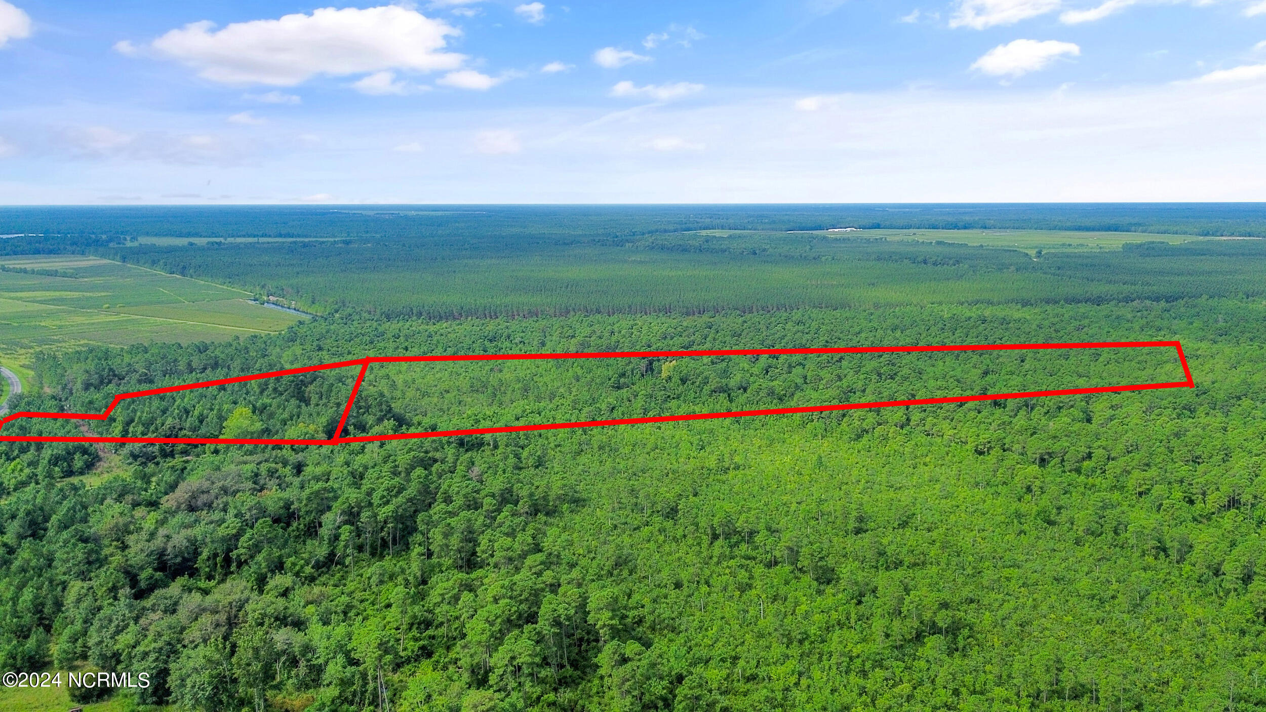 1 Lizzie Henry Road Ivanhoe, NC 28447 - Photo 11 of 15 lizziehenryrd_00010