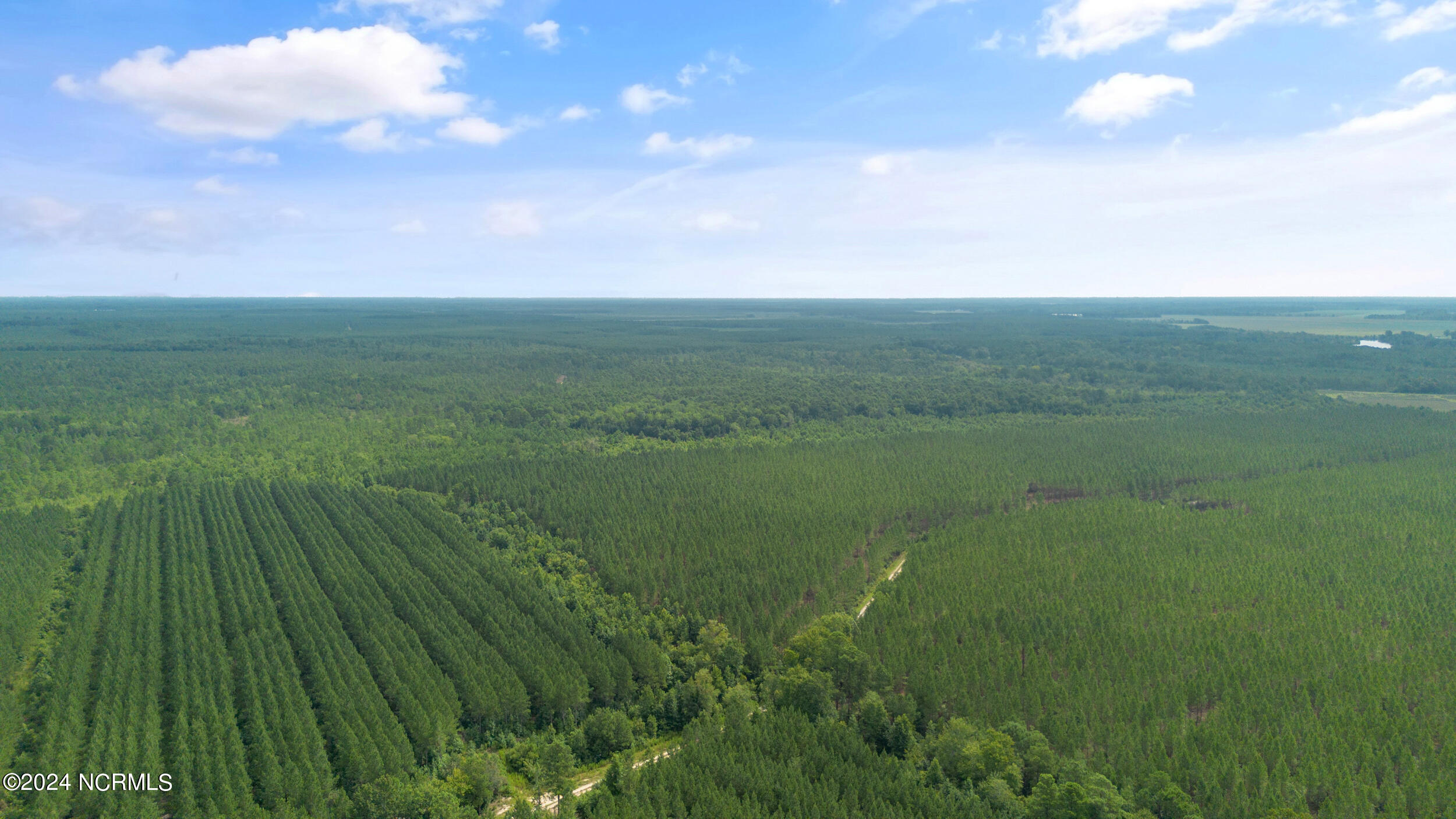 1 Lizzie Henry Road Ivanhoe, NC 28447 - Photo 12 of 15 Aerial