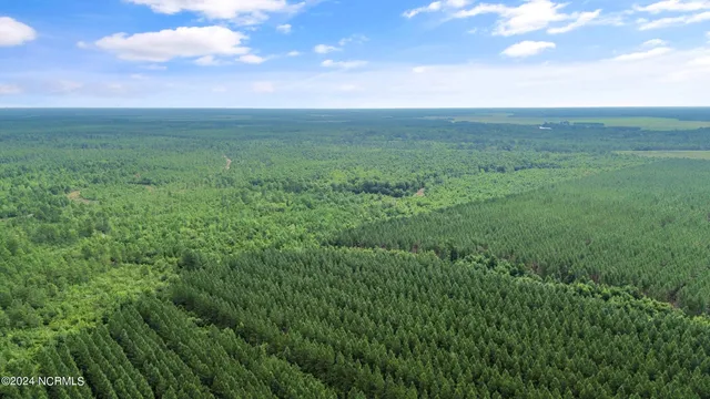 $210,000 | 1 Lizzie Henry Road, Ivanhoe, NC 28447