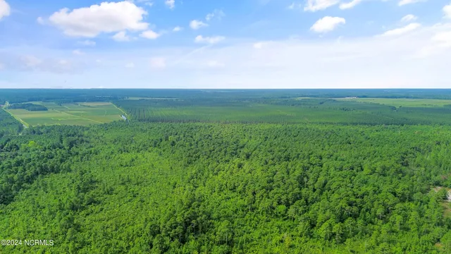 $210,000 | 1 Lizzie Henry Road, Ivanhoe, NC 28447